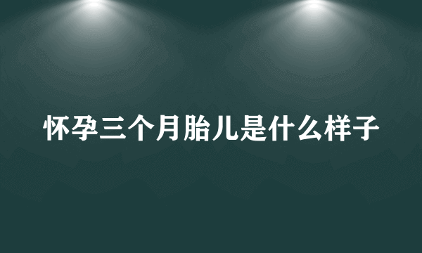 怀孕三个月胎儿是什么样子