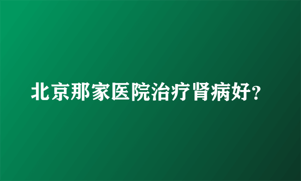 北京那家医院治疗肾病好？