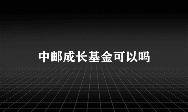 中邮成长基金可以吗