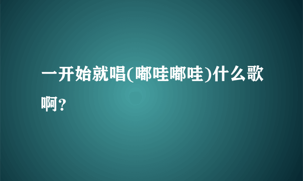 一开始就唱(嘟哇嘟哇)什么歌啊？