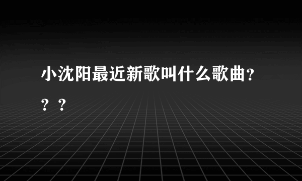 小沈阳最近新歌叫什么歌曲？？？