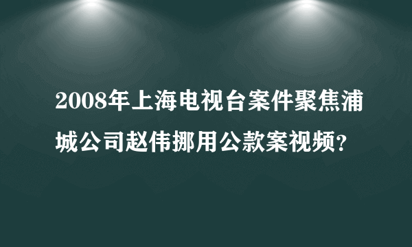 2008年上海电视台案件聚焦浦城公司赵伟挪用公款案视频？