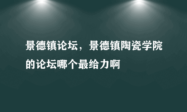 景德镇论坛，景德镇陶瓷学院的论坛哪个最给力啊