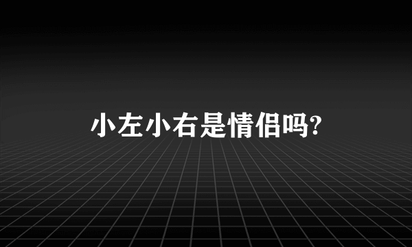 小左小右是情侣吗?