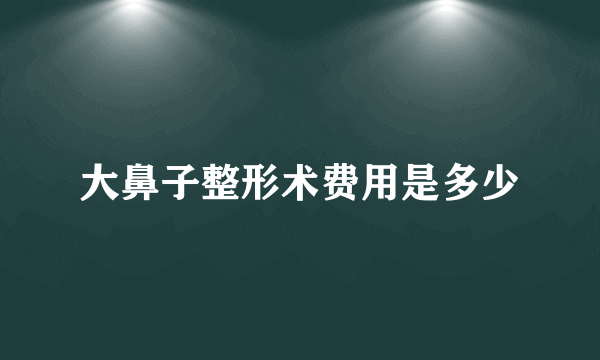 大鼻子整形术费用是多少