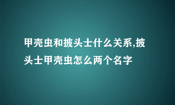 甲壳虫和披头士什么关系,披头士甲壳虫怎么两个名字