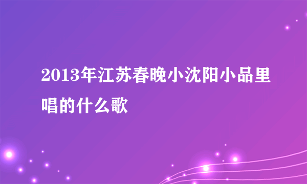 2013年江苏春晚小沈阳小品里唱的什么歌