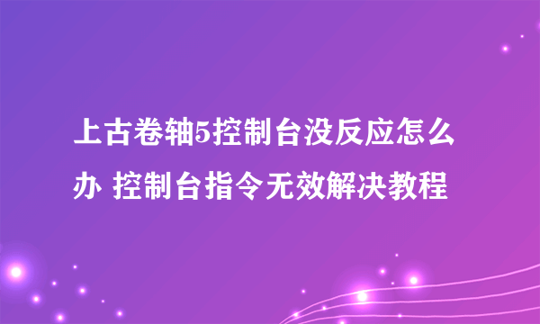 上古卷轴5控制台没反应怎么办 控制台指令无效解决教程