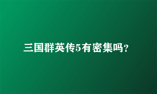 三国群英传5有密集吗？