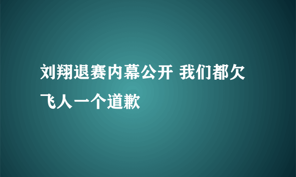 刘翔退赛内幕公开 我们都欠飞人一个道歉