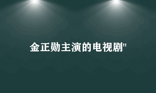 金正勋主演的电视剧