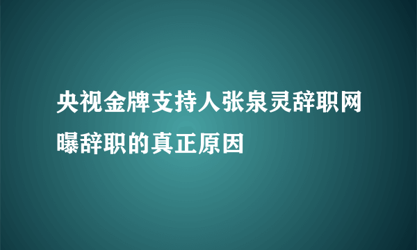 央视金牌支持人张泉灵辞职网曝辞职的真正原因