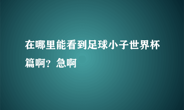 在哪里能看到足球小子世界杯篇啊？急啊