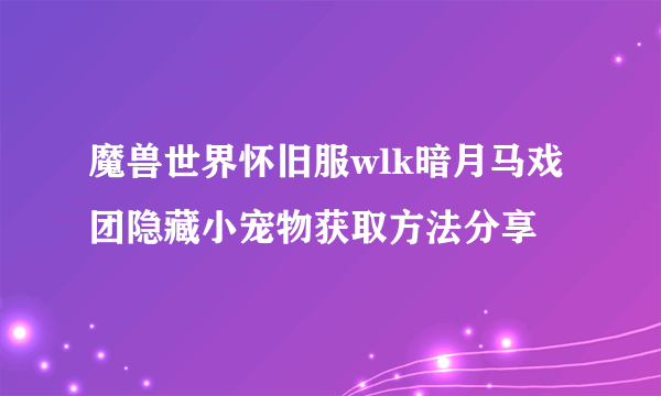 魔兽世界怀旧服wlk暗月马戏团隐藏小宠物获取方法分享