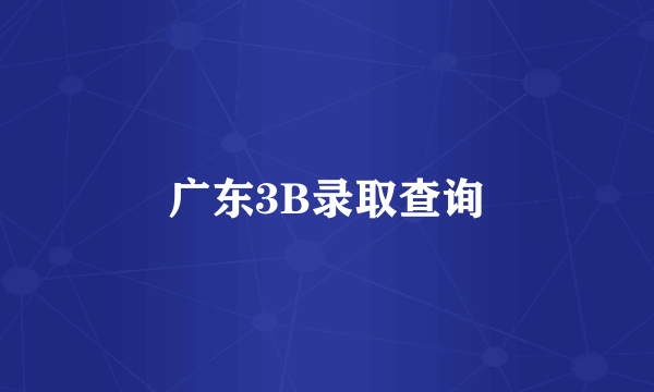 广东3B录取查询