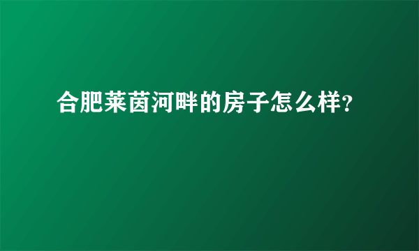 合肥莱茵河畔的房子怎么样？