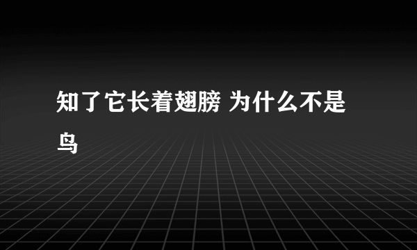 知了它长着翅膀 为什么不是鸟