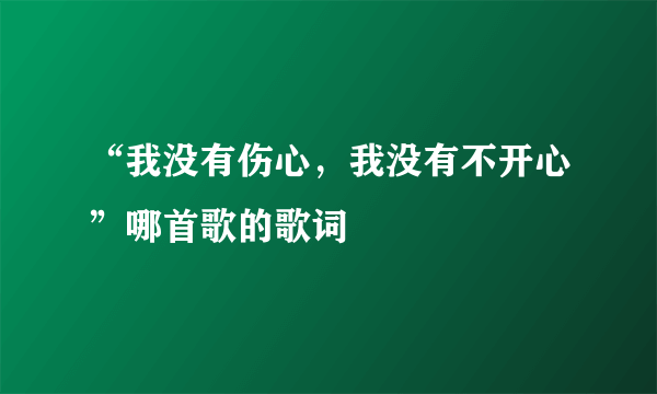 “我没有伤心，我没有不开心”哪首歌的歌词