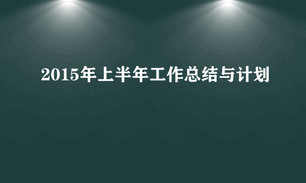 2015年上半年工作总结与计划