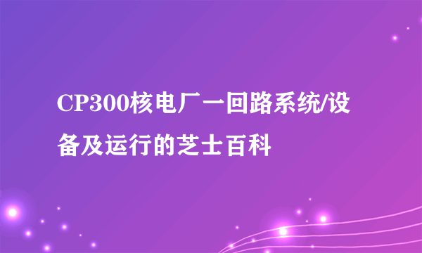 CP300核电厂一回路系统/设备及运行的芝士百科