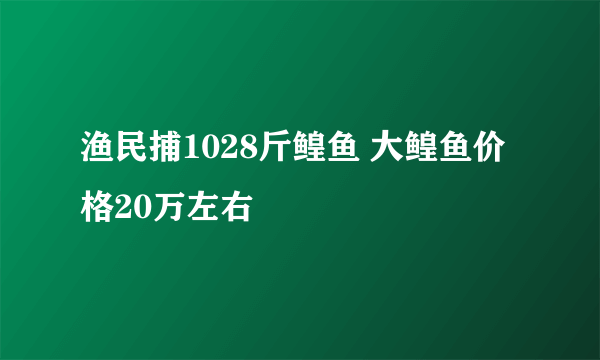 渔民捕1028斤鳇鱼 大鳇鱼价格20万左右