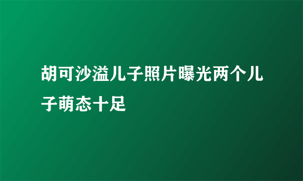 胡可沙溢儿子照片曝光两个儿子萌态十足