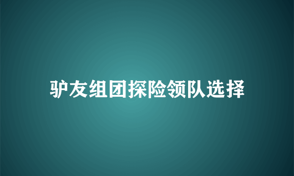 驴友组团探险领队选择