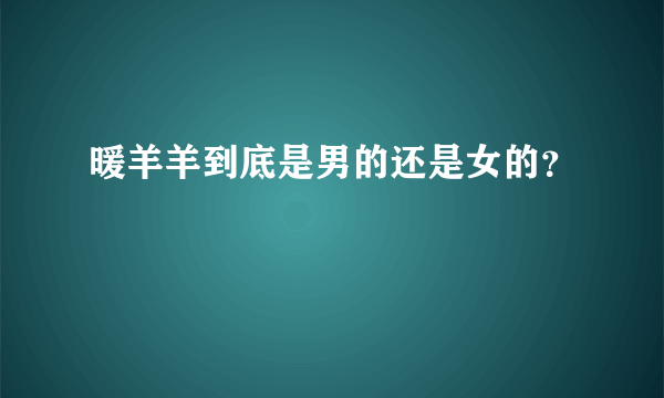 暖羊羊到底是男的还是女的？