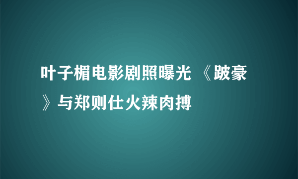 叶子楣电影剧照曝光 《跛豪》与郑则仕火辣肉搏