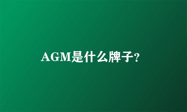 AGM是什么牌子？