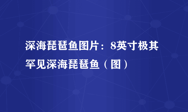 深海琵琶鱼图片：8英寸极其罕见深海琵琶鱼（图）