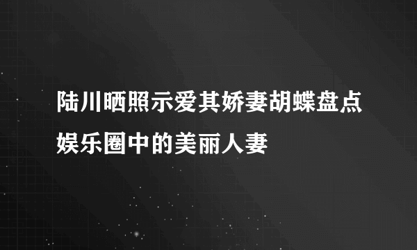 陆川晒照示爱其娇妻胡蝶盘点娱乐圈中的美丽人妻