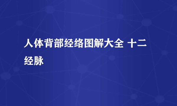 人体背部经络图解大全 十二经脉