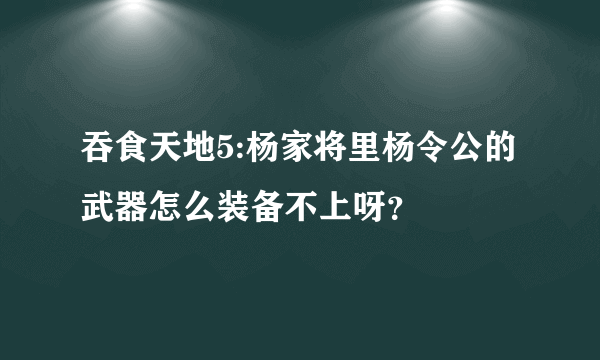 吞食天地5:杨家将里杨令公的武器怎么装备不上呀？