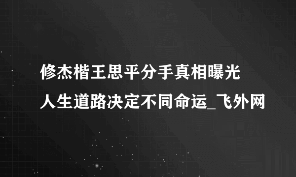 修杰楷王思平分手真相曝光 人生道路决定不同命运_飞外网