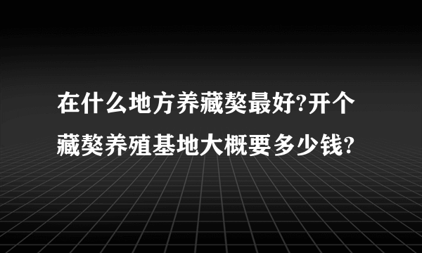 在什么地方养藏獒最好?开个藏獒养殖基地大概要多少钱?