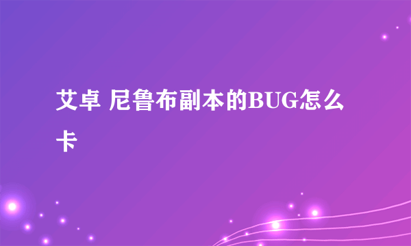 艾卓 尼鲁布副本的BUG怎么卡