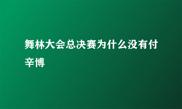 舞林大会总决赛为什么没有付辛博