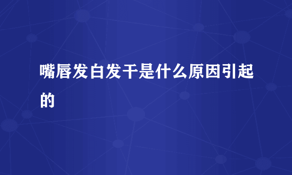 嘴唇发白发干是什么原因引起的