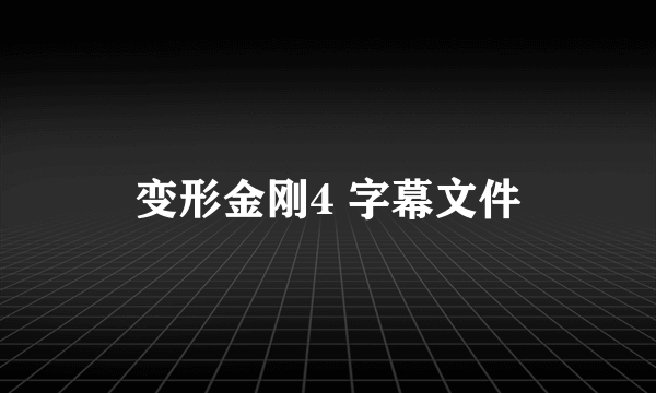 变形金刚4 字幕文件