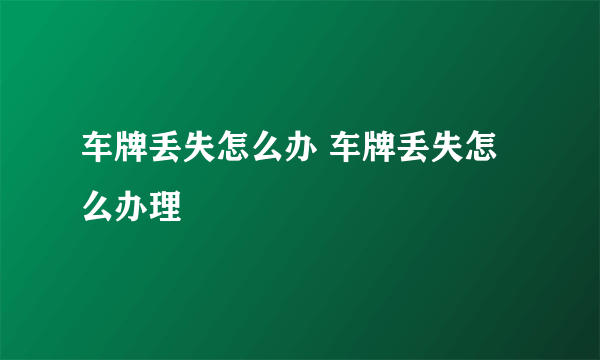 车牌丢失怎么办 车牌丢失怎么办理