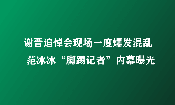 谢晋追悼会现场一度爆发混乱 范冰冰“脚踢记者”内幕曝光