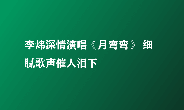 李炜深情演唱《月弯弯》 细腻歌声催人泪下