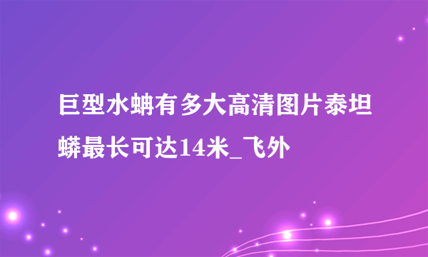 巨型水蚺有多大高清图片泰坦蟒最长可达14米_飞外