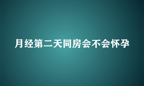 月经第二天同房会不会怀孕