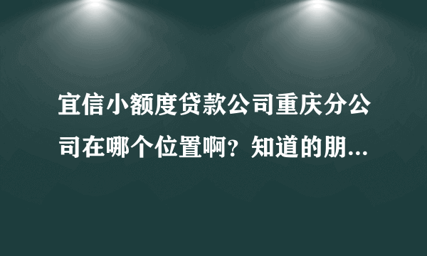 宜信小额度贷款公司重庆分公司在哪个位置啊？知道的朋友请指教一哈，谢谢！急啊！！