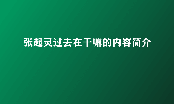 张起灵过去在干嘛的内容简介