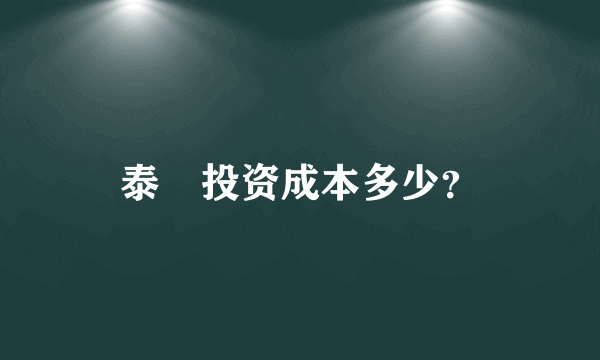 泰囧投资成本多少？