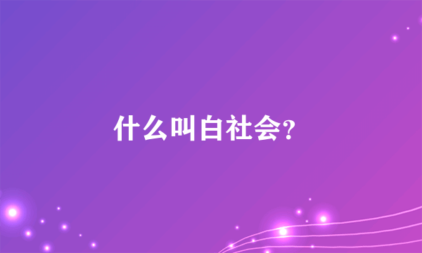 什么叫白社会？