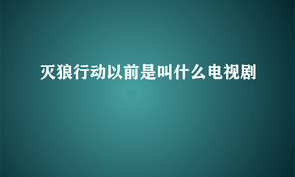 灭狼行动以前是叫什么电视剧